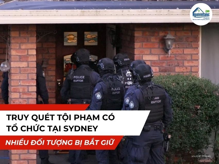 Bắt giữ nhiều nghi phạm trong chiến dịch chống tội phạm tại Sydney