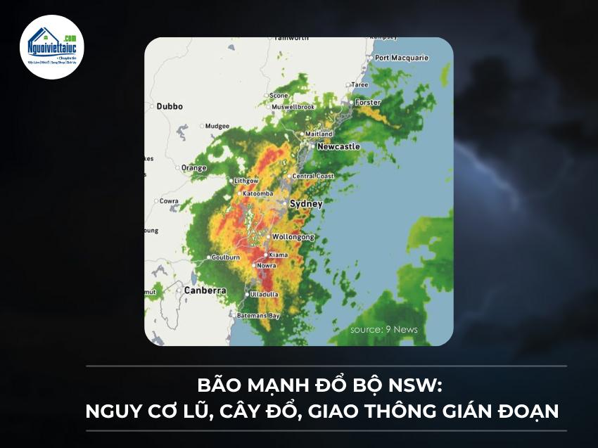 Bão mạnh đổ bộ NSW: Nguy cơ lũ, cây đổ, giao thông gián đoạn